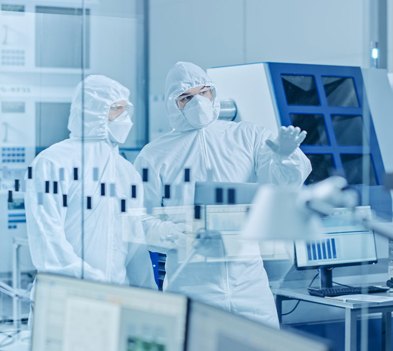 lab