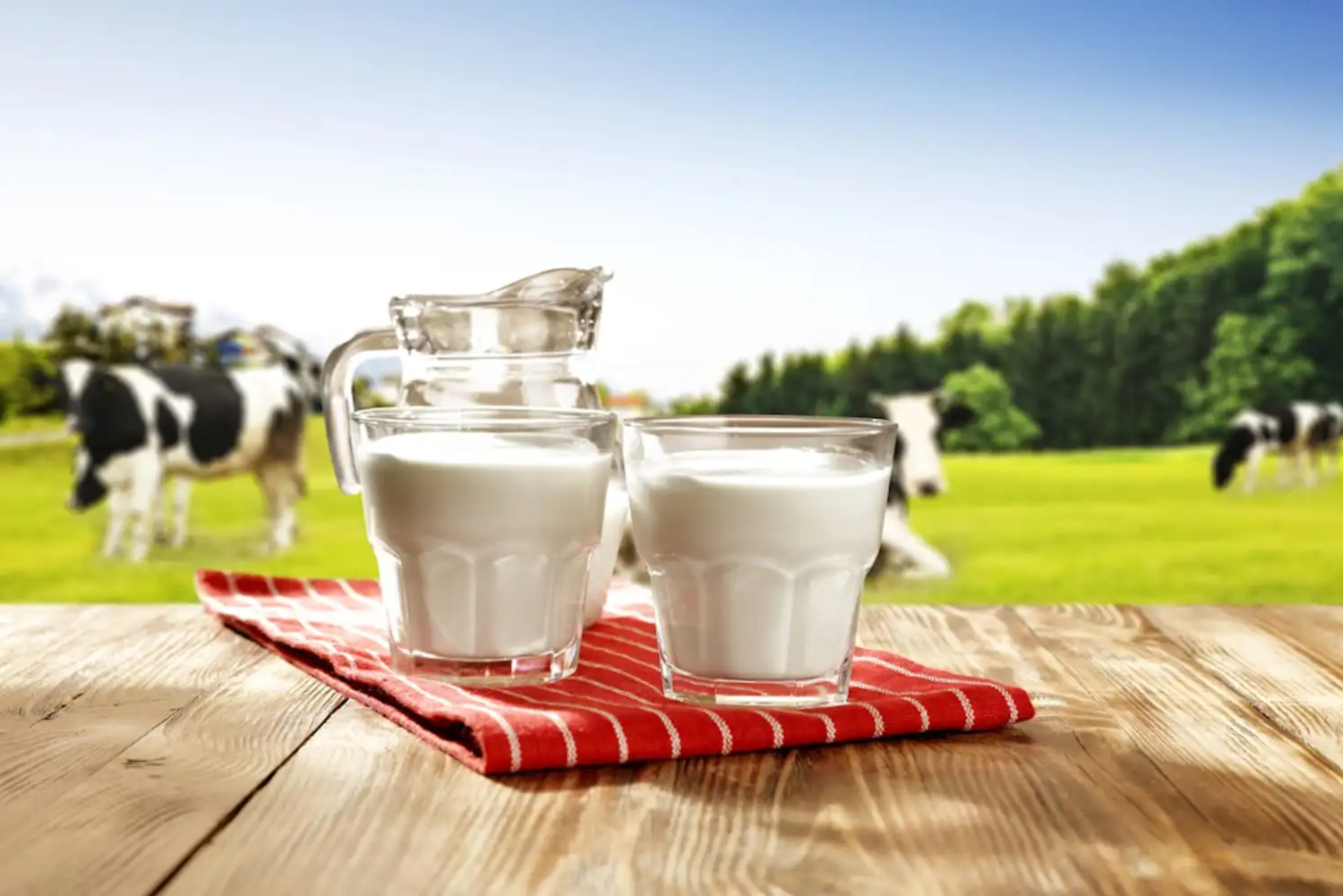 BOVINE COLOSTRUM TABLETS (20%lgG) 60s