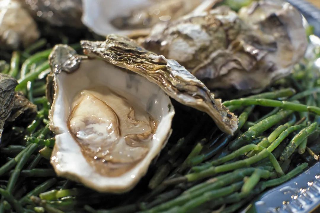 OYSTER COMPOSITE TEBLET DIETARY FOOD 60s